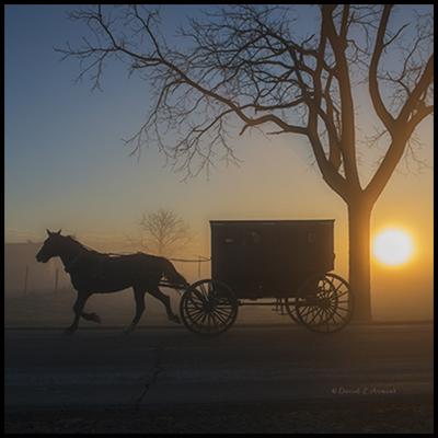 Amish Buggy at Dawn with Sun